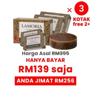 5 Kotak Lamoria